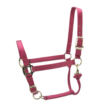 Shires ARMA Premium Adjustable Headcollar Red| Online For Equine