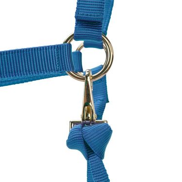 Shires ARMA Premium Adjustable Headcollar Royal| Online For Equine