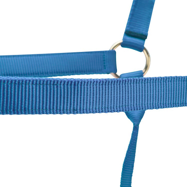 Shires ARMA Premium Adjustable Headcollar Royal| Online For Equine