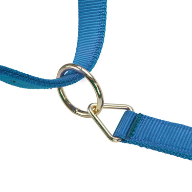 Shires ARMA Premium Adjustable Headcollar Royal| Online For Equine