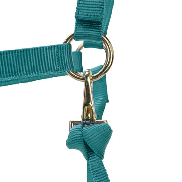 Shires ARMA Premium Adjustable Headcollar Teal| Online For Equine