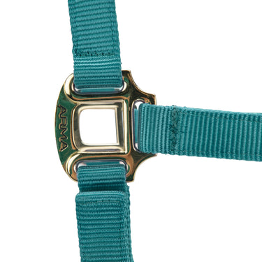 Shires ARMA Premium Adjustable Headcollar Teal| Online For Equine
