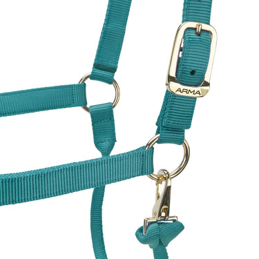 Shires ARMA Premium Adjustable Headcollar Teal| Online For Equine