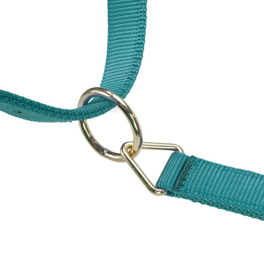 Shires ARMA Premium Adjustable Headcollar Teal| Online For Equine