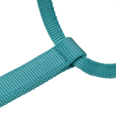 Shires ARMA Premium Adjustable Headcollar Teal| Online For Equine