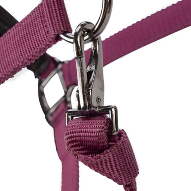 Shires ARMA Pro Padded Headcollar Black Cherry| Online For Equine