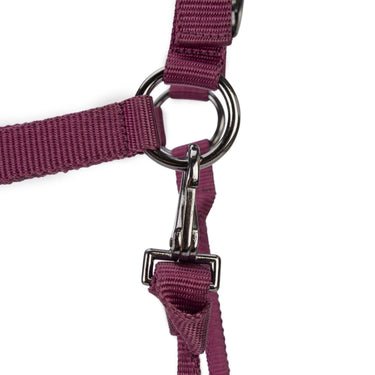 Shires ARMA Pro Padded Headcollar Black Cherry| Online For Equine