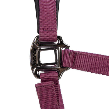Shires ARMA Pro Padded Headcollar Black Cherry| Online For Equine