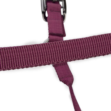 Shires ARMA Pro Padded Headcollar Black Cherry| Online For Equine
