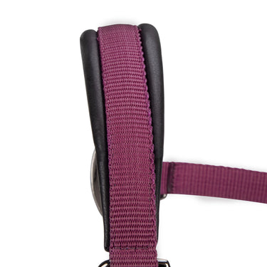 Shires ARMA Pro Padded Headcollar Black Cherry| Online For Equine