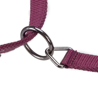 Shires ARMA Pro Padded Headcollar Black Cherry| Online For Equine