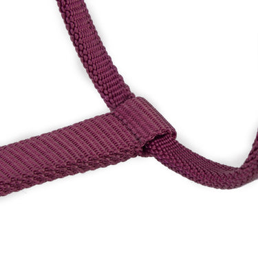 Shires ARMA Pro Padded Headcollar Black Cherry| Online For Equine