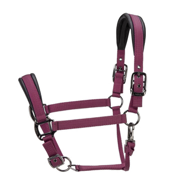 Shires ARMA Pro Padded Headcollar Black Cherry| Online For Equine
