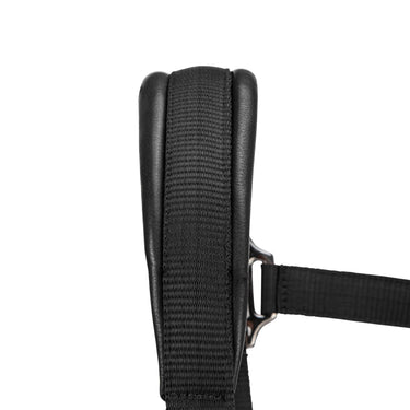 Shires ARMA Pro Padded Headcollar Black| Online For Equine