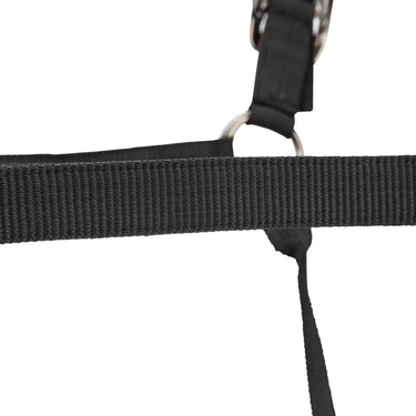 Shires ARMA Pro Padded Headcollar Black| Online For Equine