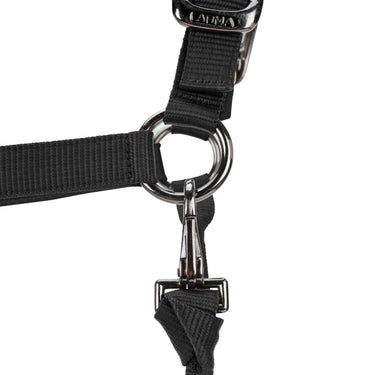 Shires ARMA Pro Padded Headcollar Black| Online For Equine