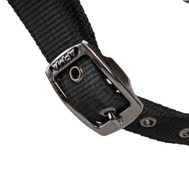 Shires ARMA Pro Padded Headcollar Black| Online For Equine