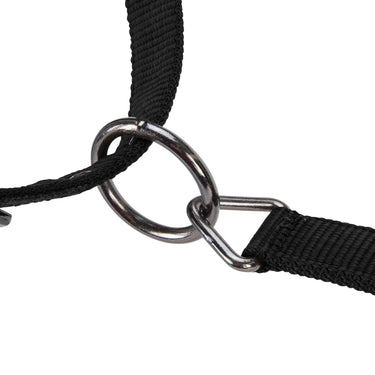 Shires ARMA Pro Padded Headcollar Black| Online For Equine