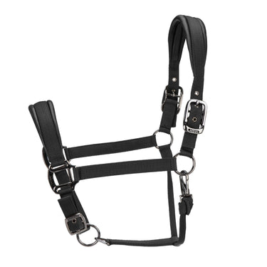 Shires ARMA Pro Padded Headcollar Black| Online For Equine