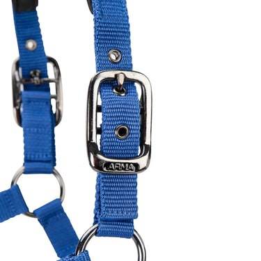 Shires ARMA Pro Padded Headcollar Blue| Online For Equine