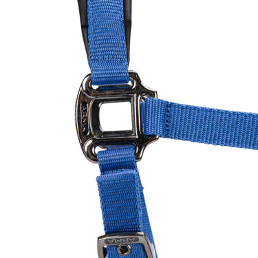 Shires ARMA Pro Padded Headcollar Blue| Online For Equine