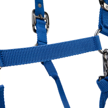 Shires ARMA Pro Padded Headcollar Blue| Online For Equine