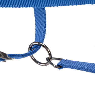 Shires ARMA Pro Padded Headcollar Blue| Online For Equine