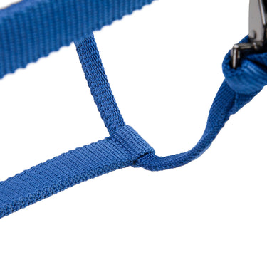 Shires ARMA Pro Padded Headcollar Blue| Online For Equine
