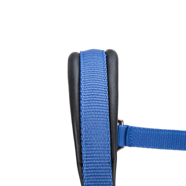 Shires ARMA Pro Padded Headcollar Blue| Online For Equine