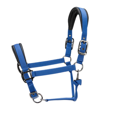 Shires ARMA Pro Padded Headcollar Blue| Online For Equine