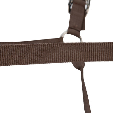 Shires ARMA Pro Padded Headcollar Brown| Online For Equine