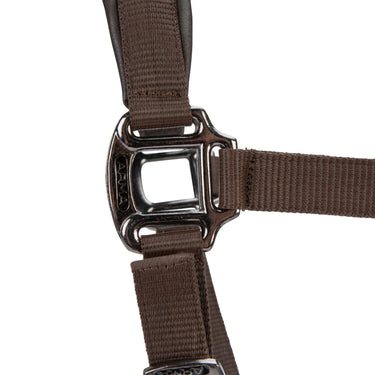 Shires ARMA Pro Padded Headcollar Brown| Online For Equine