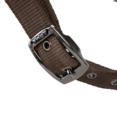Shires ARMA Pro Padded Headcollar Brown| Online For Equine