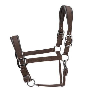 Shires ARMA Pro Padded Headcollar Brown| Online For Equine