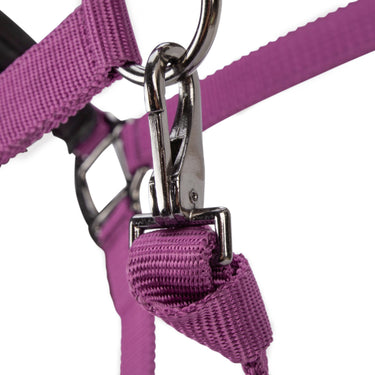 Shires ARMA Pro Padded Headcollar Burgundy| Online For Equine