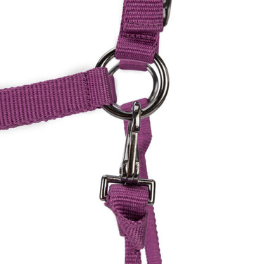 Shires ARMA Pro Padded Headcollar Burgundy| Online For Equine