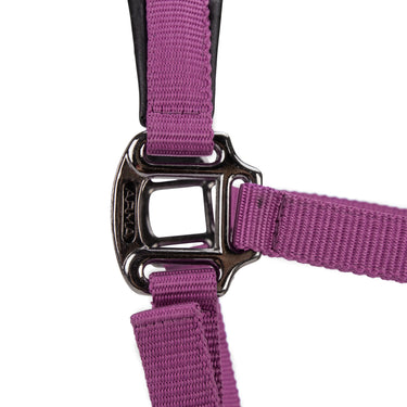 Shires ARMA Pro Padded Headcollar Burgundy| Online For Equine