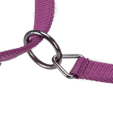 Shires ARMA Pro Padded Headcollar Burgundy| Online For Equine