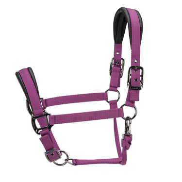 Shires ARMA Pro Padded Headcollar Burgundy| Online For Equine
