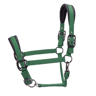 Shires ARMA Pro Padded Headcollar Dark Green| Online For Equine