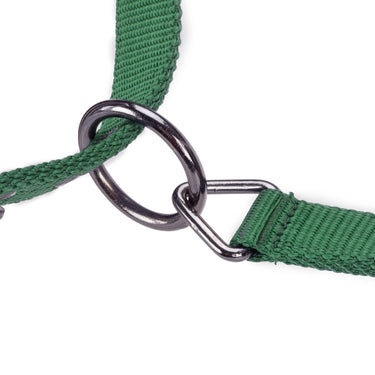 Shires ARMA Pro Padded Headcollar Dark Green| Online For Equine