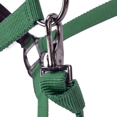 Shires ARMA Pro Padded Headcollar Dark Green| Online For Equine