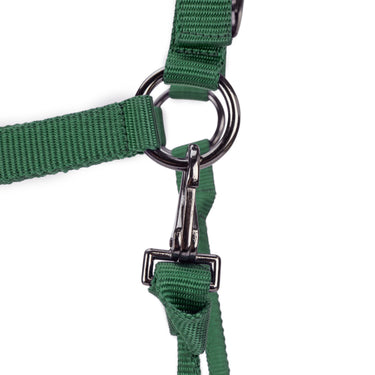 Shires ARMA Pro Padded Headcollar Dark Green| Online For Equine