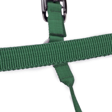 Shires ARMA Pro Padded Headcollar Dark Green| Online For Equine