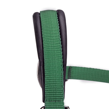 Shires ARMA Pro Padded Headcollar Dark Green| Online For Equine