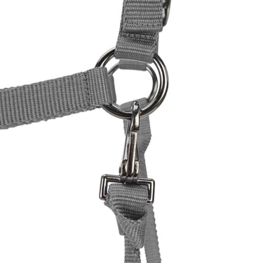 Shires ARMA Pro Padded Headcollar Grey| Online For Equine