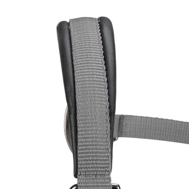 Shires ARMA Pro Padded Headcollar Grey| Online For Equine