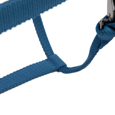 Shires ARMA Pro Padded Headcollar Navy| Online For Equine