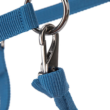 Shires ARMA Pro Padded Headcollar Navy| Online For Equine