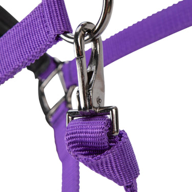 Shires ARMA Pro Padded Headcollar Purple| Online For Equine
